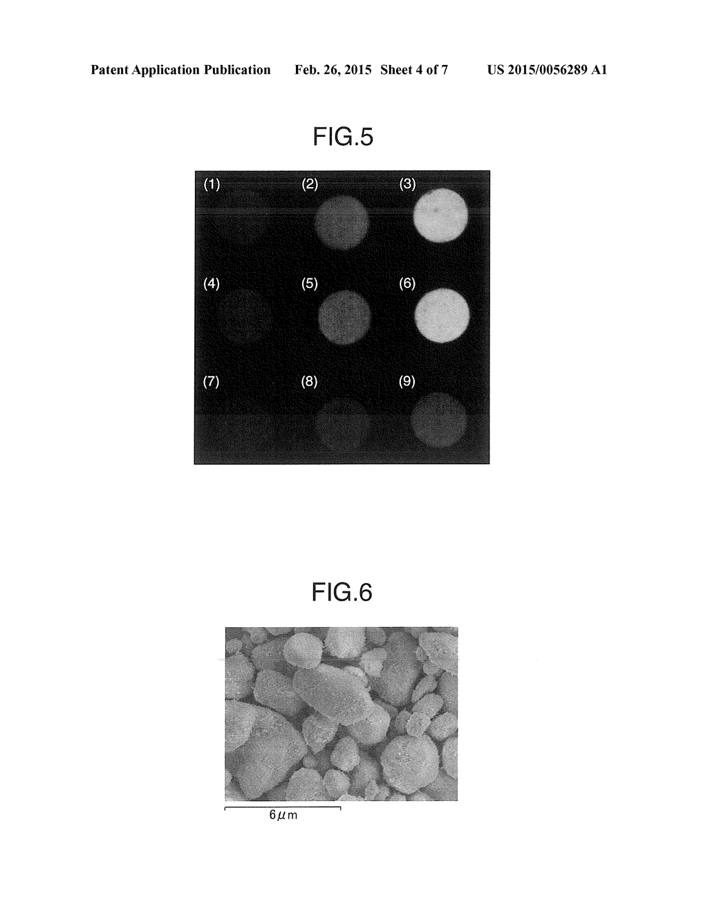 BONE CEMENT COMPOSITION - diagram, schematic, and image 05