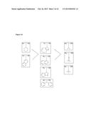 PEPTIDES AND PEPTIDOMIMETICS IN COMBINATION USES AND TREATMENTS FOR CANCER     PATIENT SUBPOPULATIONS diagram and image