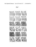 Ultra-Thin Polymer Film, and Porous Ultra-Thin Polymer Film diagram and image