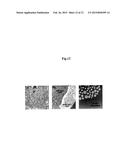 Ultra-Thin Polymer Film, and Porous Ultra-Thin Polymer Film diagram and image