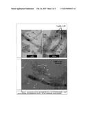 POWDER COMPRISING CARBON NANOSTRUCTURES AND ITS METHOD OF PRODUCTION diagram and image