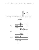 Oligonucleotide Primer with Omega Structure for Detecting Short-Chain RNAs     and Use Thereof diagram and image