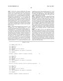 Oligonucleotide Primer with Omega Structure for Detecting Short-Chain RNAs     and Use Thereof diagram and image