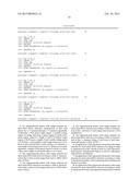 Oligonucleotide Primer with Omega Structure for Detecting Short-Chain RNAs     and Use Thereof diagram and image