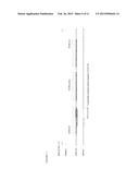 NUCLEIC ACID AMPLIFICATION KITS FOR SPECIFIC DETECTION OF E. COLI O157:H7     WITHOUT CO-DETECTION OF E. COLI O55:H7 diagram and image