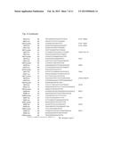 NUCLEIC ACID AMPLIFICATION KITS FOR SPECIFIC DETECTION OF E. COLI O157:H7     WITHOUT CO-DETECTION OF E. COLI O55:H7 diagram and image