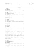 NUCLEIC ACID AMPLIFICATION KITS FOR SPECIFIC DETECTION OF E. COLI O157:H7     WITHOUT CO-DETECTION OF E. COLI O55:H7 diagram and image