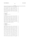 NUCLEIC ACID AMPLIFICATION KITS FOR SPECIFIC DETECTION OF E. COLI O157:H7     WITHOUT CO-DETECTION OF E. COLI O55:H7 diagram and image