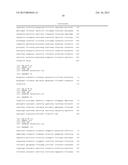 NUCLEIC ACID AMPLIFICATION KITS FOR SPECIFIC DETECTION OF E. COLI O157:H7     WITHOUT CO-DETECTION OF E. COLI O55:H7 diagram and image