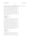 NUCLEIC ACID AMPLIFICATION KITS FOR SPECIFIC DETECTION OF E. COLI O157:H7     WITHOUT CO-DETECTION OF E. COLI O55:H7 diagram and image