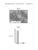 METHOD OF DIFFERENTIATING MAMMALIAN PROGENITOR CELLS INTO INSULIN     PRODUCING PANCREATIC ISLET CELLS diagram and image