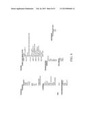 ACETYL-COA CARBOXYLASES diagram and image