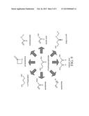 ACETYL-COA CARBOXYLASES diagram and image