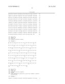 ACETYL-COA CARBOXYLASES diagram and image