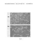 METHODS AND PRODUCTS FOR BIASING CELLULAR DEVELOPMENT diagram and image