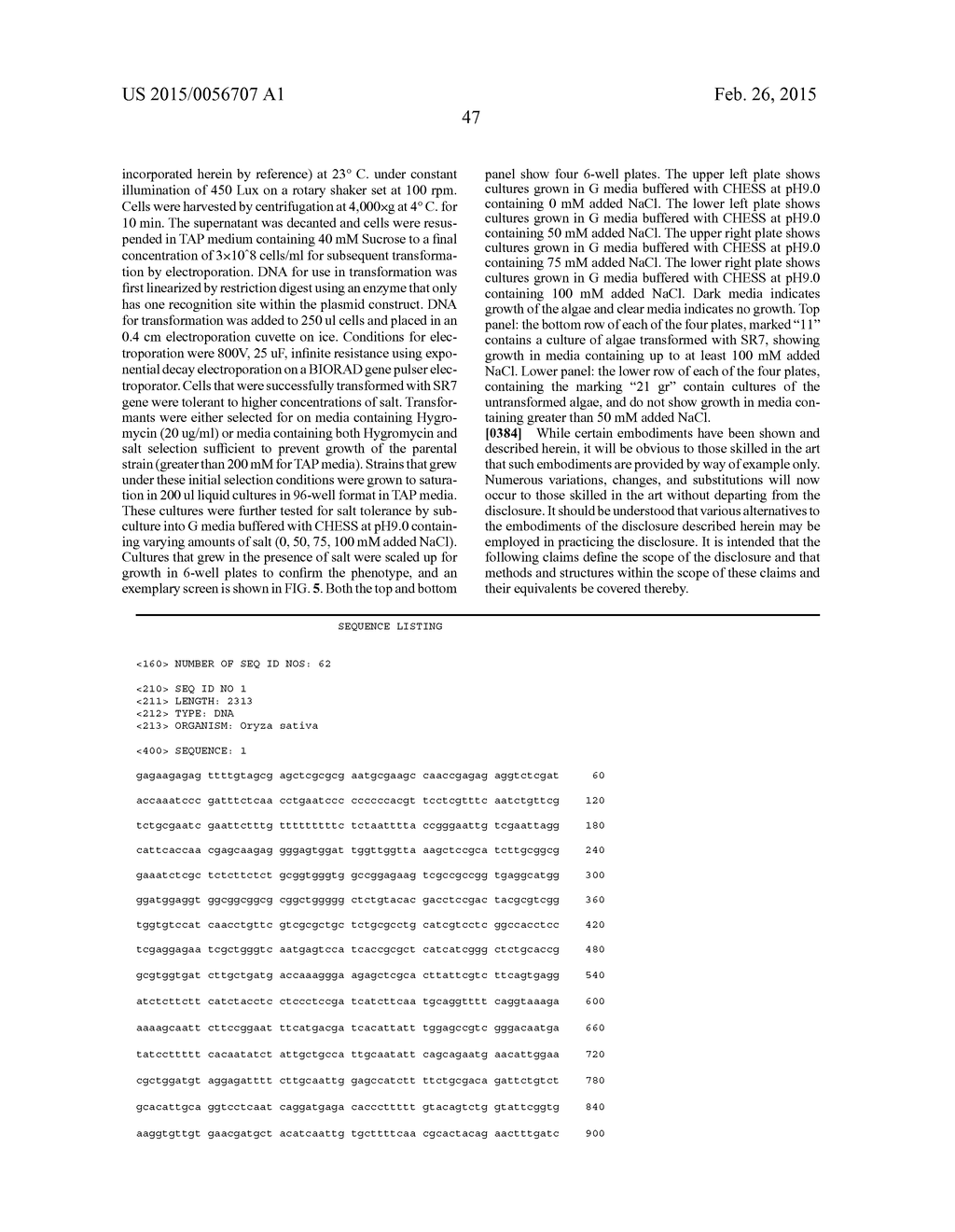 ENGINEERING SALT TOLERANCE IN PHOTOSYNTHETIC MICROORGANISMS - diagram, schematic, and image 59