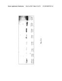 REVERSIBLE PEGYLATED DRUGS diagram and image