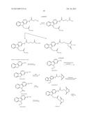 REVERSIBLE PEGYLATED DRUGS diagram and image