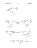 REVERSIBLE PEGYLATED DRUGS diagram and image