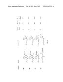 PRODRUG COMPRISING A DRUG LINKER CONJUGATE diagram and image