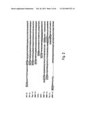 METHODS OF TREATING CARTILAGE DEFECTS USING A SOLUBLE MORPHOGENIC PROTEIN     COMPLEX diagram and image