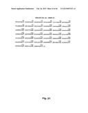 METHODS OF TREATING CARTILAGE DEFECTS USING A SOLUBLE MORPHOGENIC PROTEIN     COMPLEX diagram and image