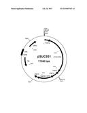 PROCESS FOR THE CRYSTALLIZATION OF SUCCINIC ACID diagram and image