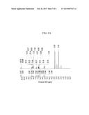 POLY(IMIDE-AMIDE) COPOLYMER, A METHOD OF PREPARING A POLY(IMIDE-AMIDE)     COPOLYMER, AND AN ARTICLE INCLUDING A POLY(IMIDE-AMIDE) COPOLYMER diagram and image