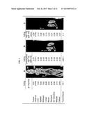 Methods and Compositions for Improved F-18 Labeling of Proteins, Peptides     and Other Molecules diagram and image