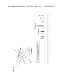 SIMPLE ORGANIC MOLECULES AS CATALYSTS FOR PRACTICAL AND EFFICIENT     ENANTIOSELECTIVE SYNTHESIS OF AMINES AND ALCOHOLS diagram and image