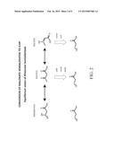 CONTROL OF GROWTH-INDUCTION-PRODUCTION PHASES diagram and image