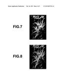 PHOTOACOUSTIC IMAGE GENERATION APPARATUS, SYSTEM AND METHOD diagram and image