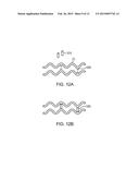 BIOABSORBABLE IMPLANTS diagram and image