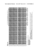 PARALLEL COMPUTER SYSTEM, CONTROLLING METHOD FOR PARALLEL COMPUTER SYSTEM,     AND STORAGE MEDIUM STORING CONTROLLING PROGRAM FOR MANAGEMENT APPARATUS diagram and image