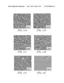 Thin Film Composite Membrane Structures diagram and image