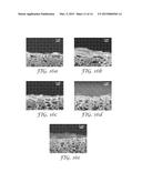 Thin Film Composite Membrane Structures diagram and image