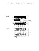 IMAGE PROCESSING APPARATUS diagram and image