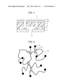 LIQUID DISCHARGE HEAD AND METHOD OF PRODUCING THE SAME diagram and image