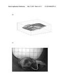 QUANTITATIVE 3D-ENDOSCOPY USING STEREO CMOS-CAMERA PAIRS diagram and image