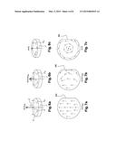 THERMALLY-ASSISTED MAGNETIC WRITING DEVICE diagram and image