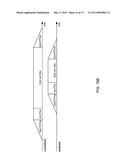 PRE-EMPTION IN PASSIVE OPTICAL NETWORKS diagram and image