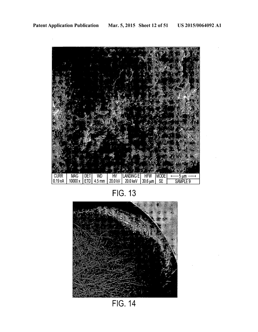 METHODS AND REACTORS FOR PRODUCING SOLID CARBON NANOTUBES, SOLID CARBON     CLUSTERS, AND FORESTS - diagram, schematic, and image 13