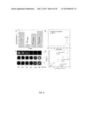 IMAGING AGENT diagram and image