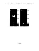 IMAGING AGENT diagram and image