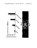 NEUROPHILIC NANOPARTICLES diagram and image