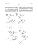 PROTEIN-POLYMER-DRUG CONJUGATES diagram and image