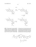 PROTEIN-POLYMER-DRUG CONJUGATES diagram and image