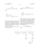 PROTEIN-POLYMER-DRUG CONJUGATES diagram and image