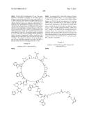 PROTEIN-POLYMER-DRUG CONJUGATES diagram and image