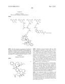 PROTEIN-POLYMER-DRUG CONJUGATES diagram and image